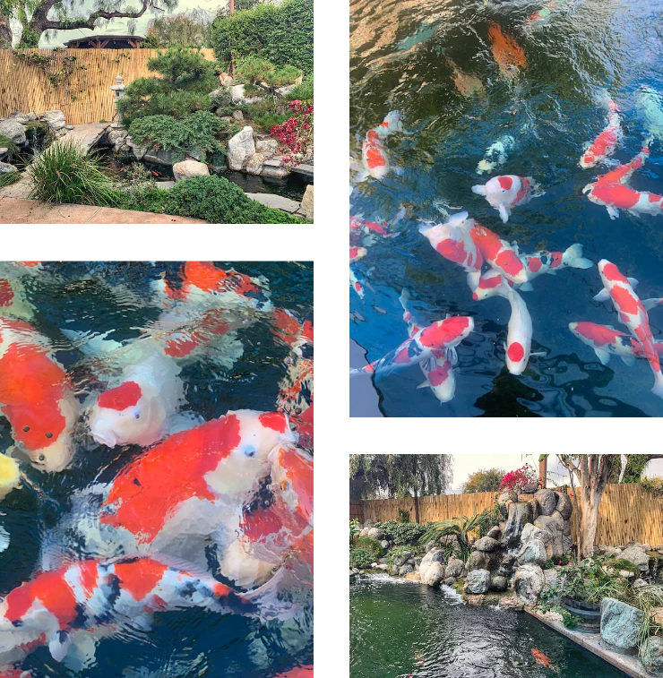 about us collage