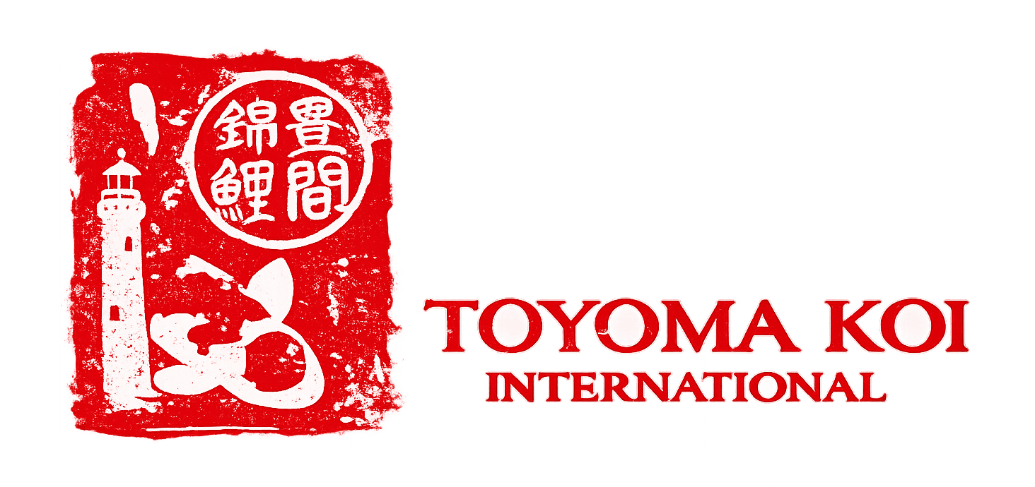 staging.toyomakoi.com